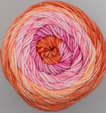 Lion Brand Mandala Ombré